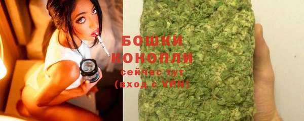 прущий лед Каменка