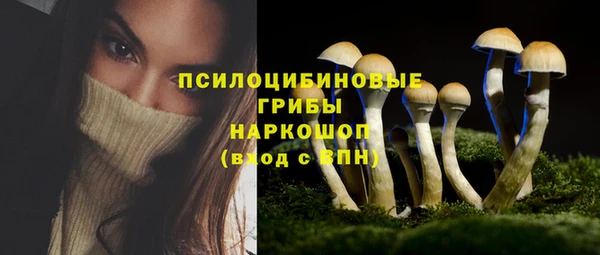 прущий лед Каменка