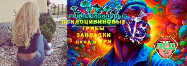 прущий лед Каменка