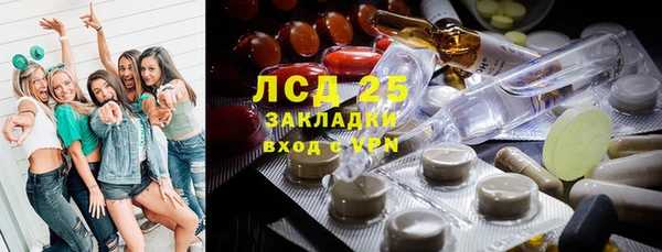 прущий лед Каменка