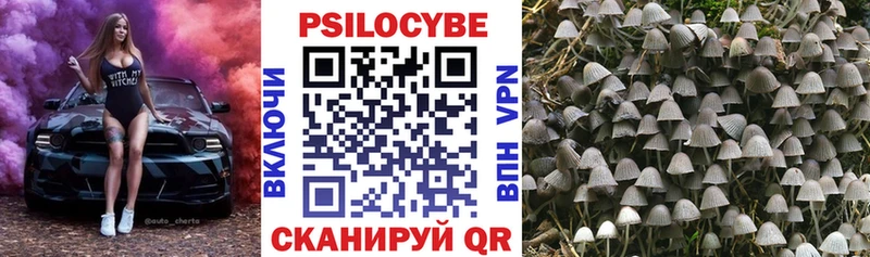 Псилоцибиновые грибы GOLDEN TEACHER Ермолино